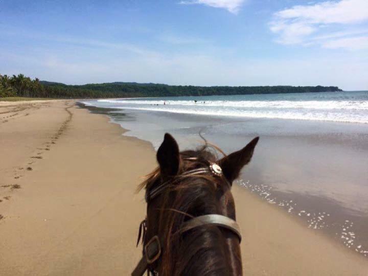Playa Limoncito Hills Fraccionamiento Vacacional Villas De 2 & 3 Recamaras Con Alberca Privada O Alberca Compartida Kültér fotó
